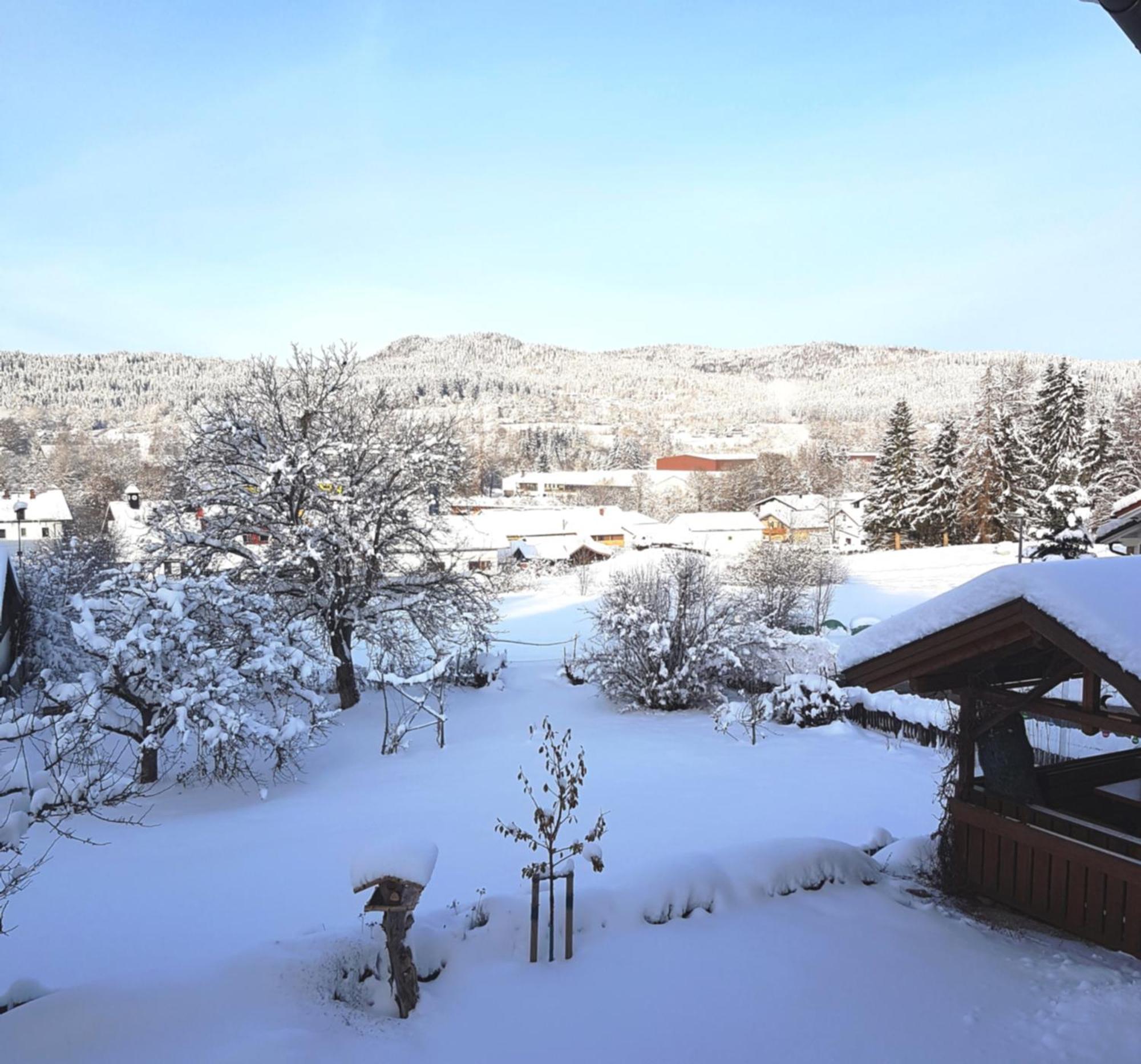 Ferienwohnung Irene Zwiesel Esterno foto