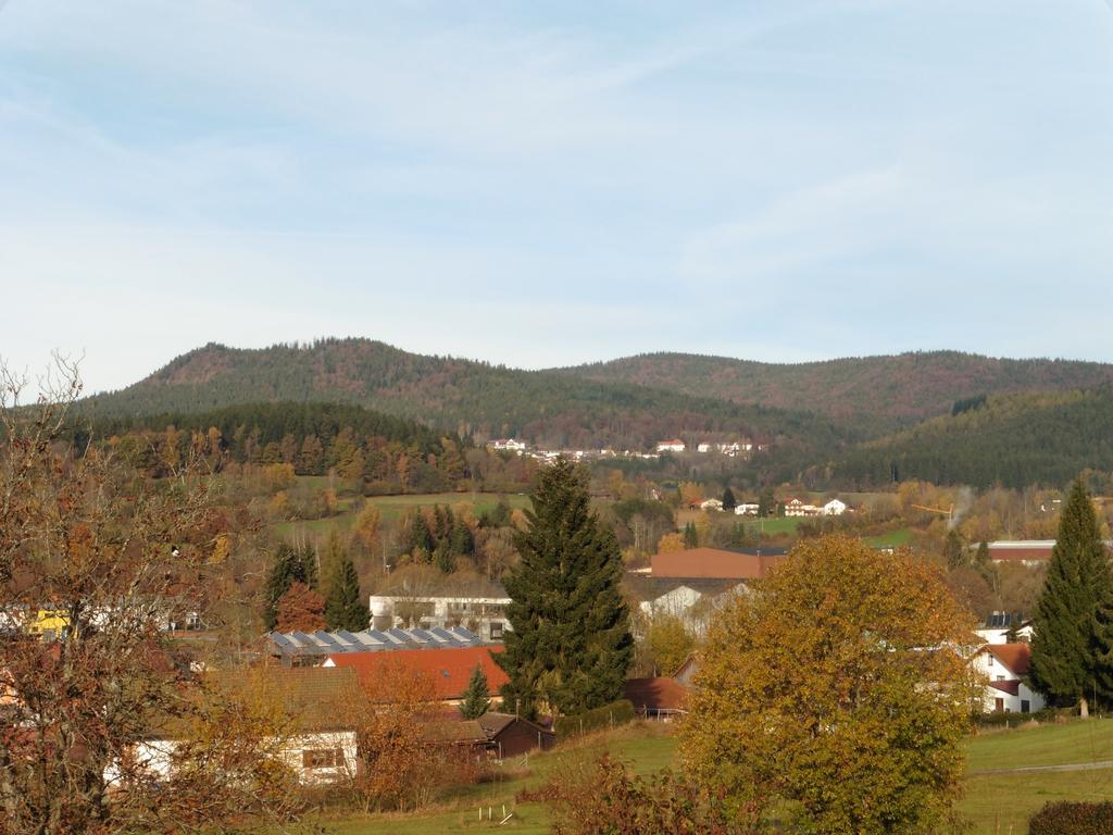 Ferienwohnung Irene Zwiesel Esterno foto